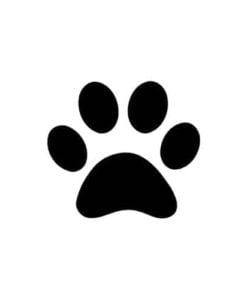 Paw Print Design