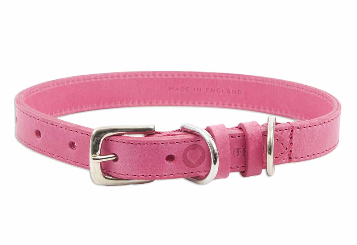 Pink dog collars uk