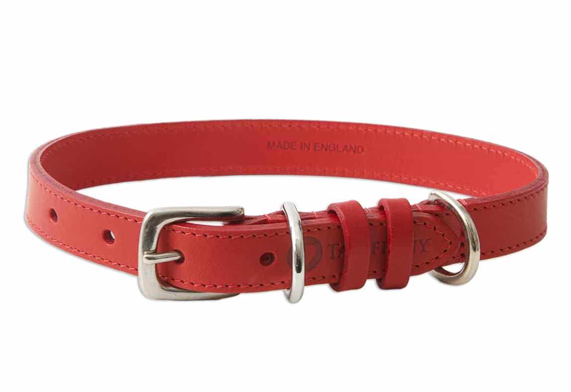 Kensington Leather Dog Collar Red Tagiffany