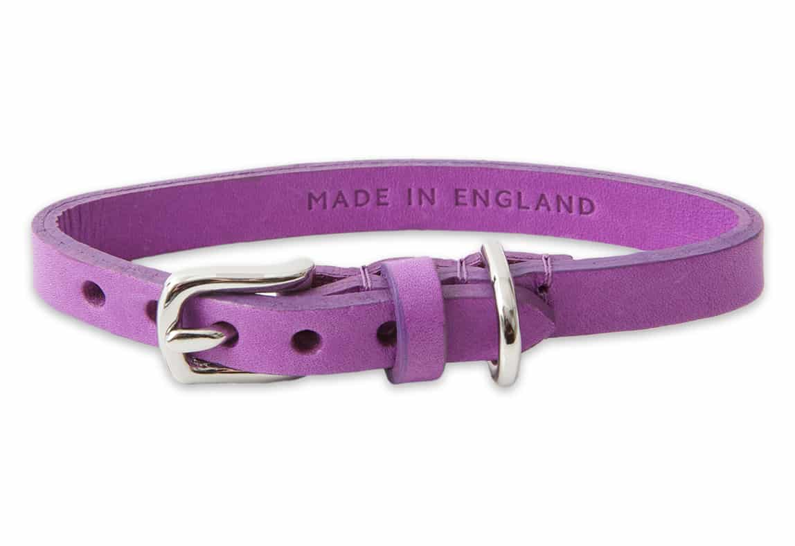 Mayfair Leather Dog Collar Purple Tagiffany