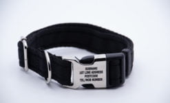 Activity Collar Lite - Black
