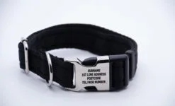 Activity Collar Lite - Black