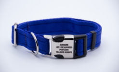 Activity Collar Lite - Blue