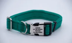 Activity Collar Lite - Green