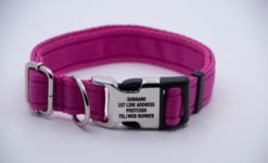 Activity Collar Lite - Pink
