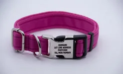 Activity Collar Lite - Pink