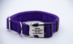 Activity Collar Lite - Purple