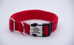 Activity Collar Lite - Red