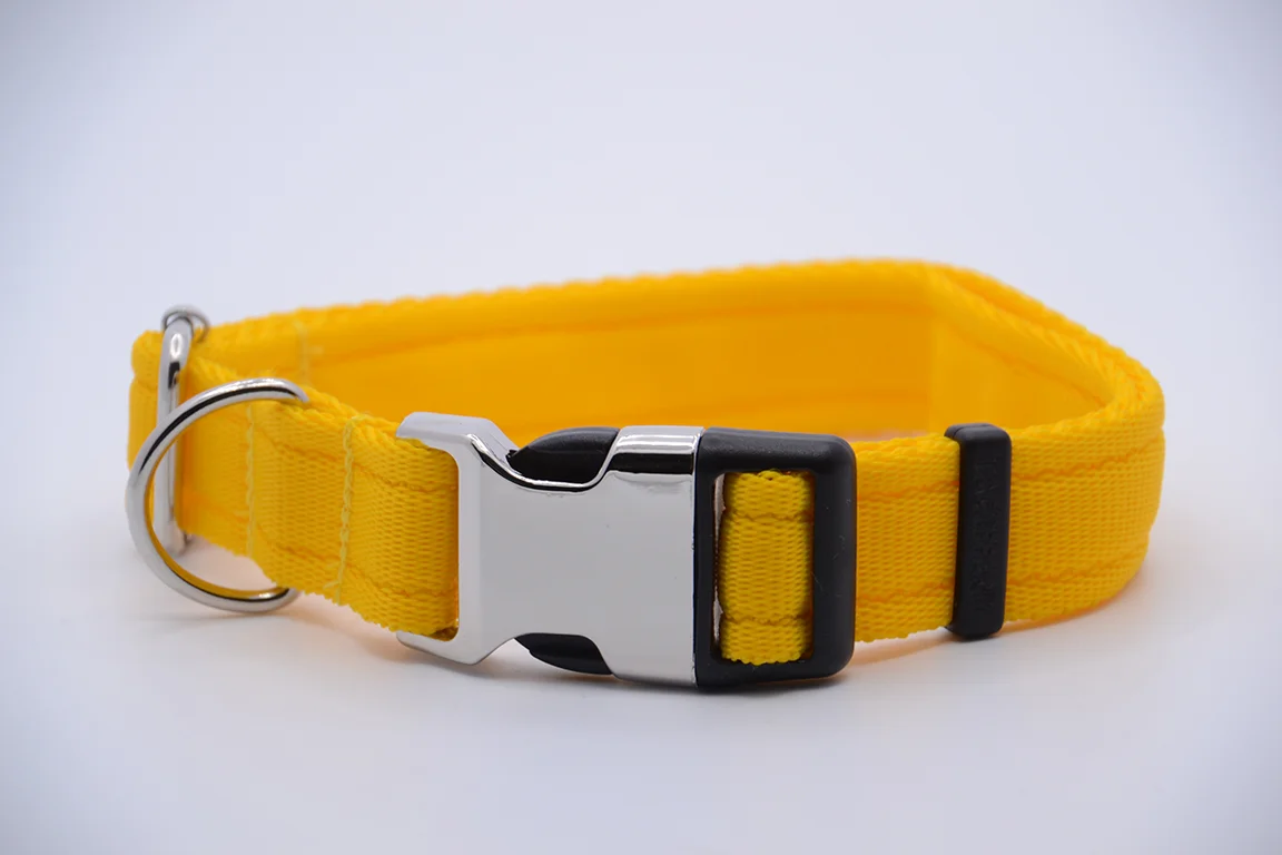 Activity Collar Lite - Yellow - Image 2