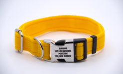 Activity Collar Lite - Yellow